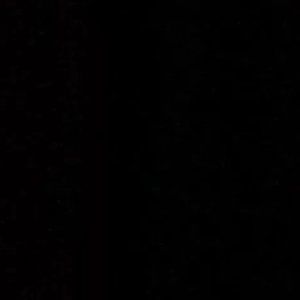 trade for @ella_johnson7